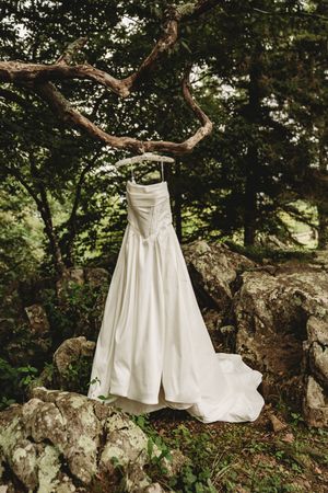 White wedding dress hanging from a tree branch in a lush forest setting with moss-covered rocks.