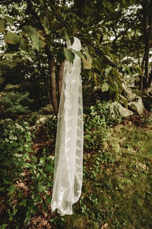 White lace wedding dress hanging from a tree branch in a lush green forest setting.