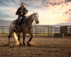 Trainer and Horse working in arena