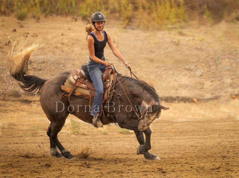 Rider on bucking horse during western riding competition.