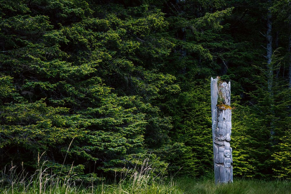 Ancient weathered totem pole stands in a lush green forest clearing, surrounded by tall evergreen trees.