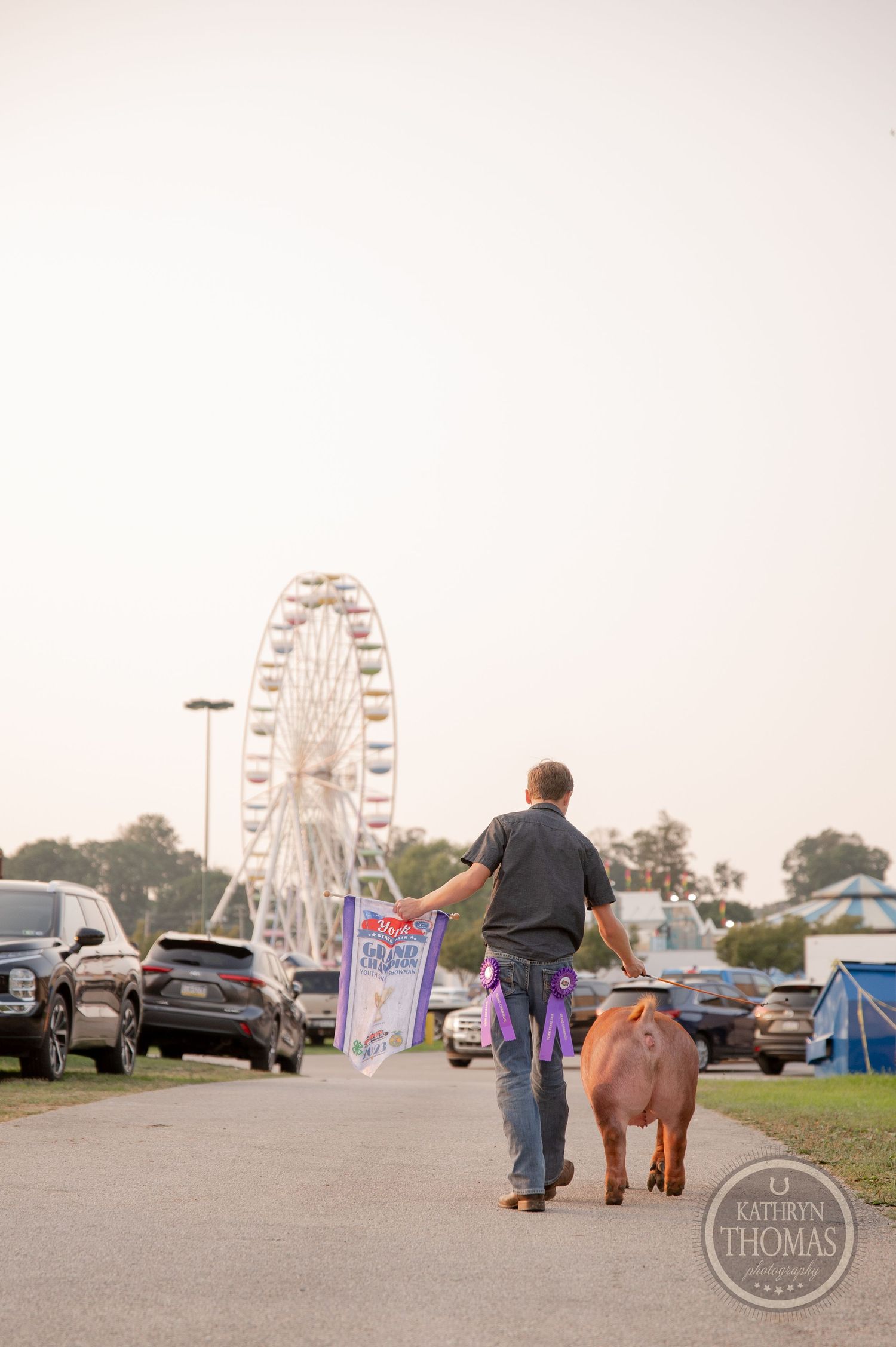 Handler walking with show animal on path with ferris wheel and parked cars in background.