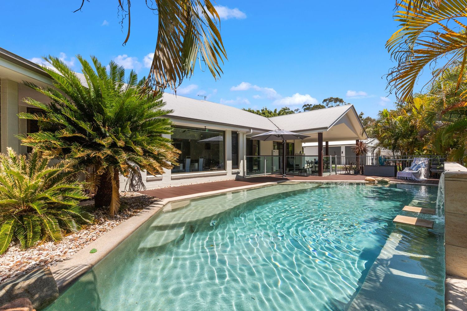 Sparkling backyard pool surrounded by tropical palms and a modern home with large glass windows.