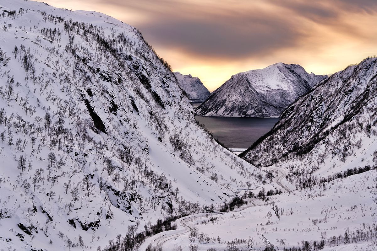 Senja-A7R01589