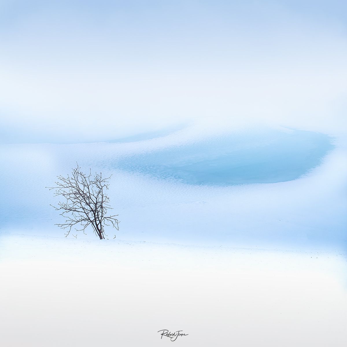 Senja-A7R00207