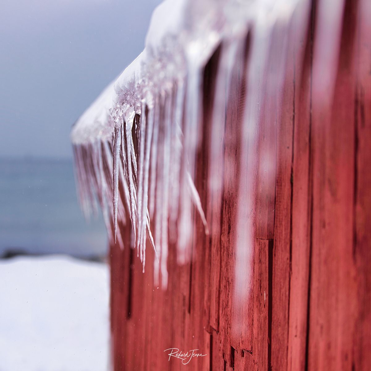 Senja-A7R01779