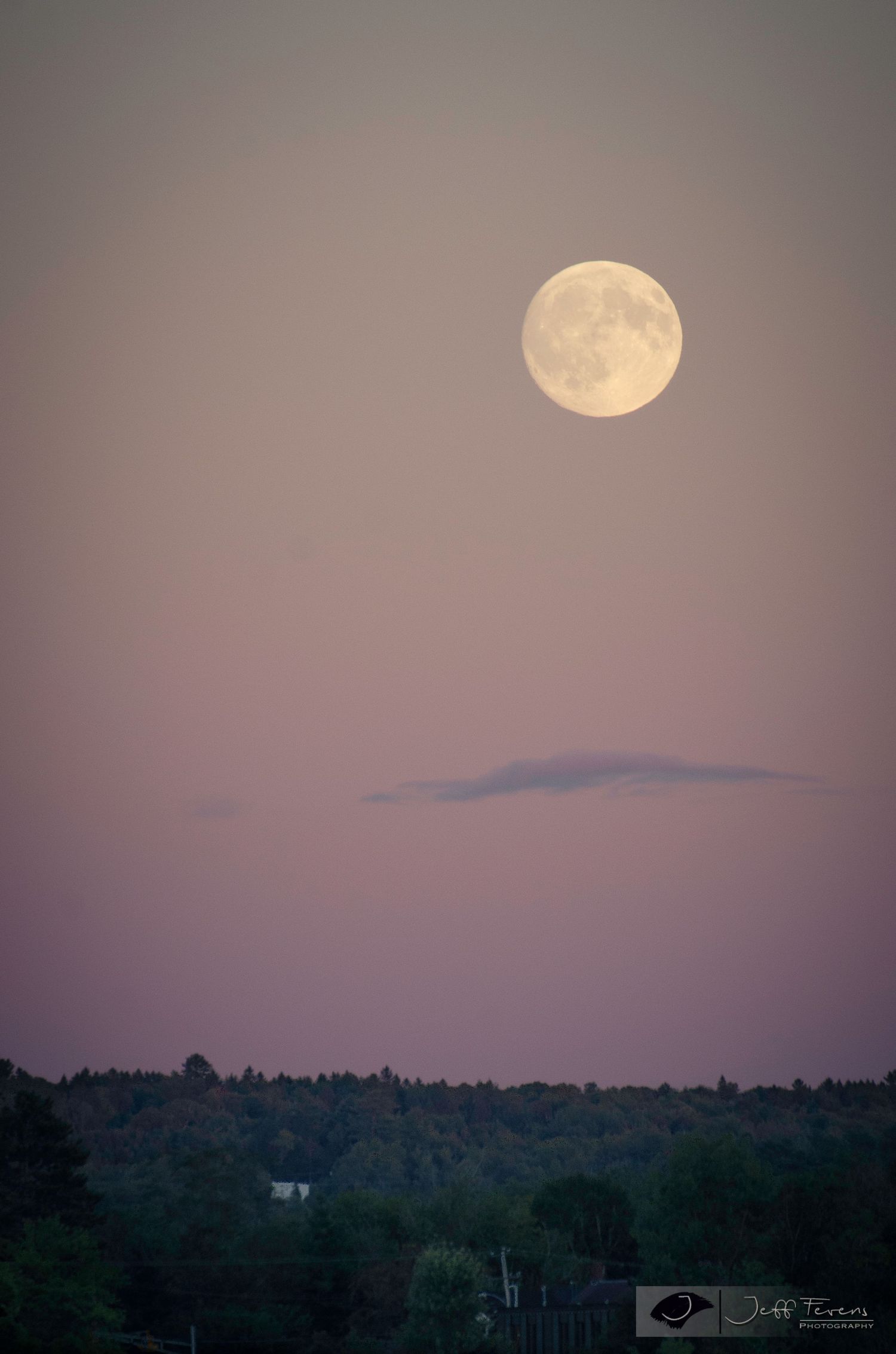 A Harvest Moon. Full moon just after it has risen.