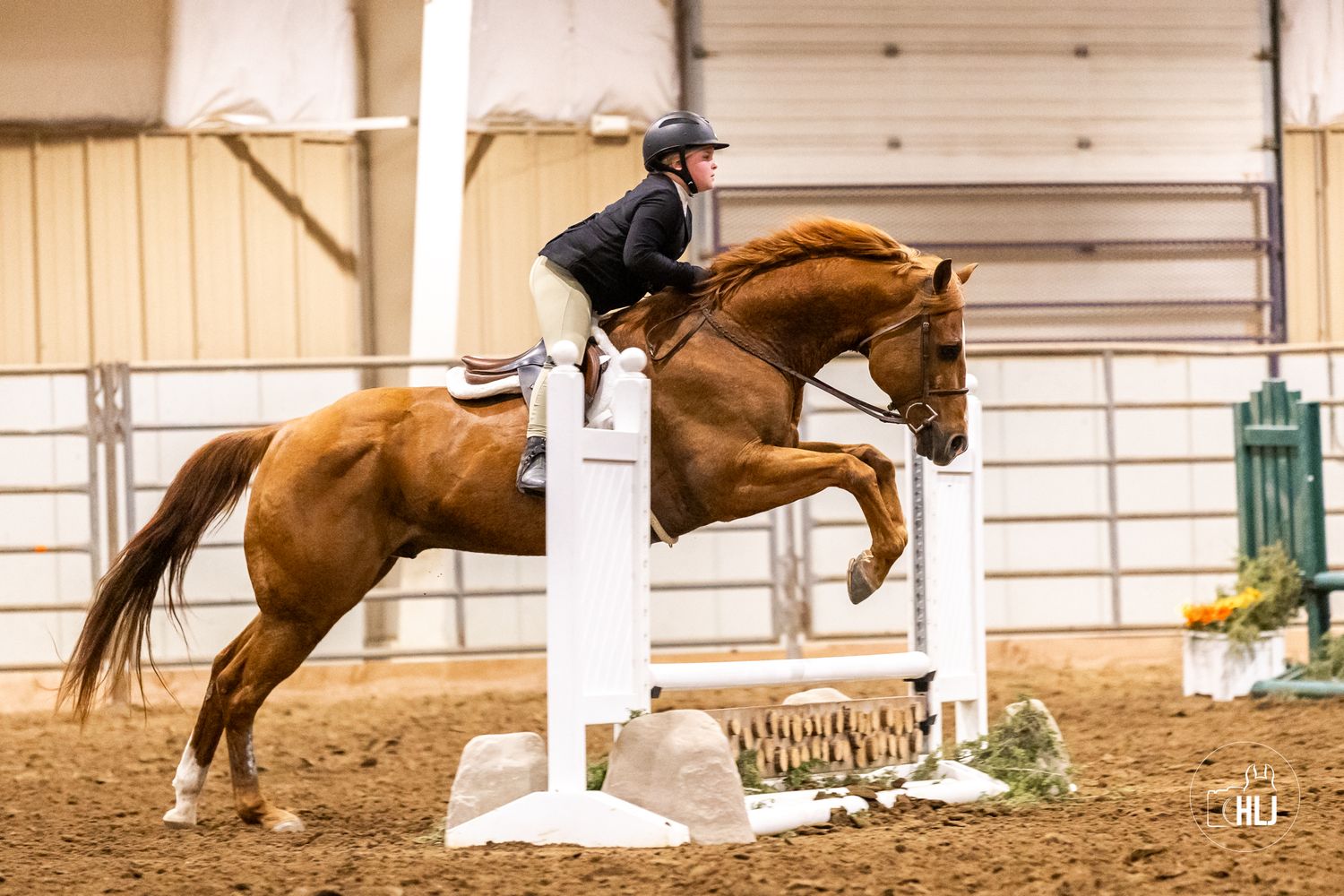 Equestrian athlete jumps chestnut horse over white pole obstacle in indoor arena competition.