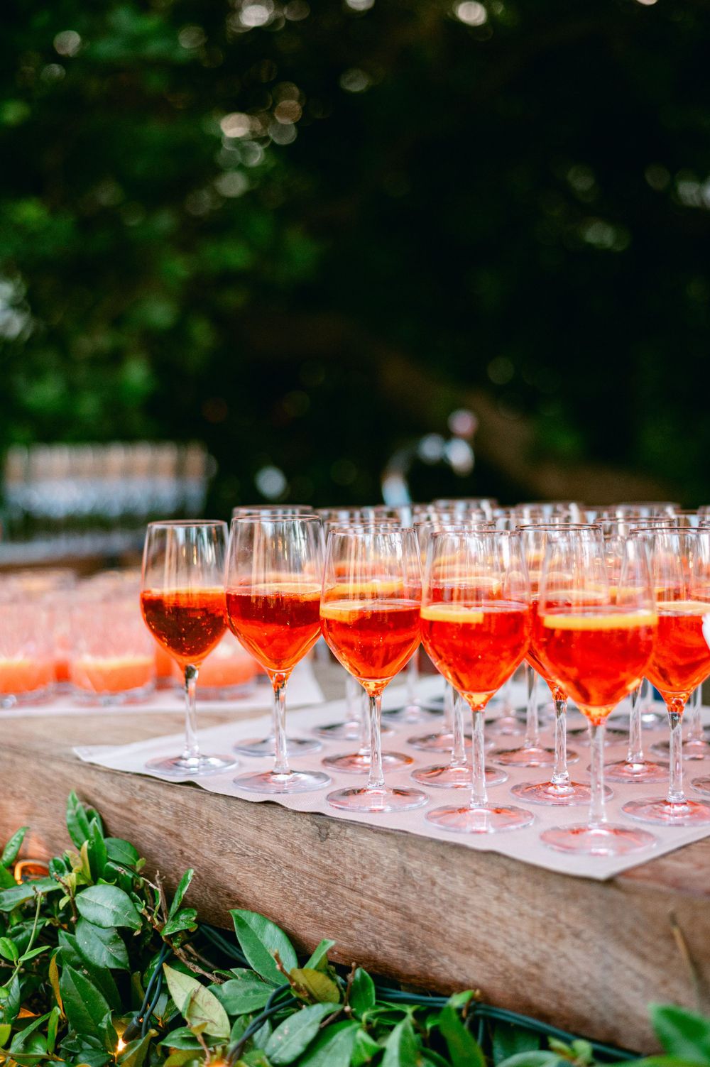 Rows of rosé wine glasses arranged on a wooden surface with bokeh lighting and greenery.