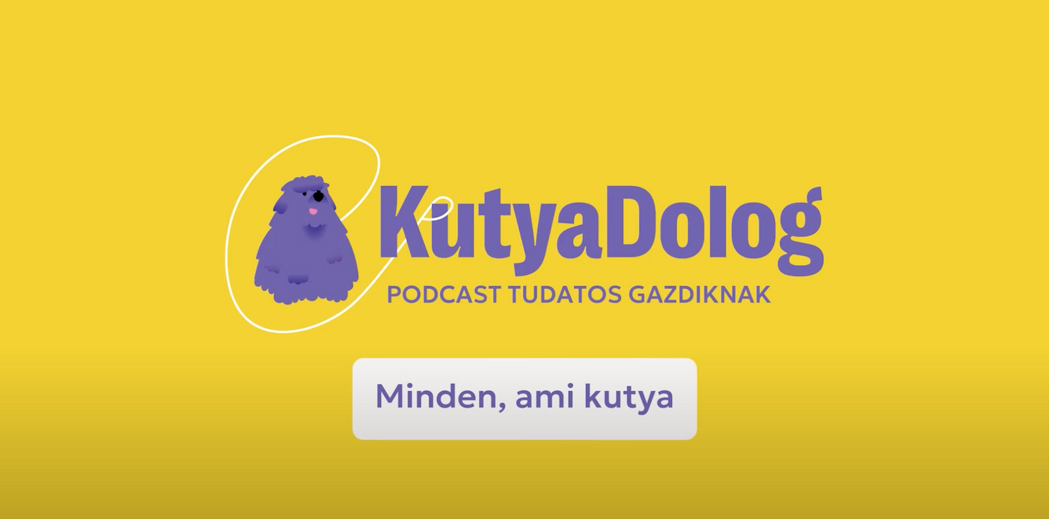 Yellow podcast banner featuring purple dog logo for KutyaDolog podcast.