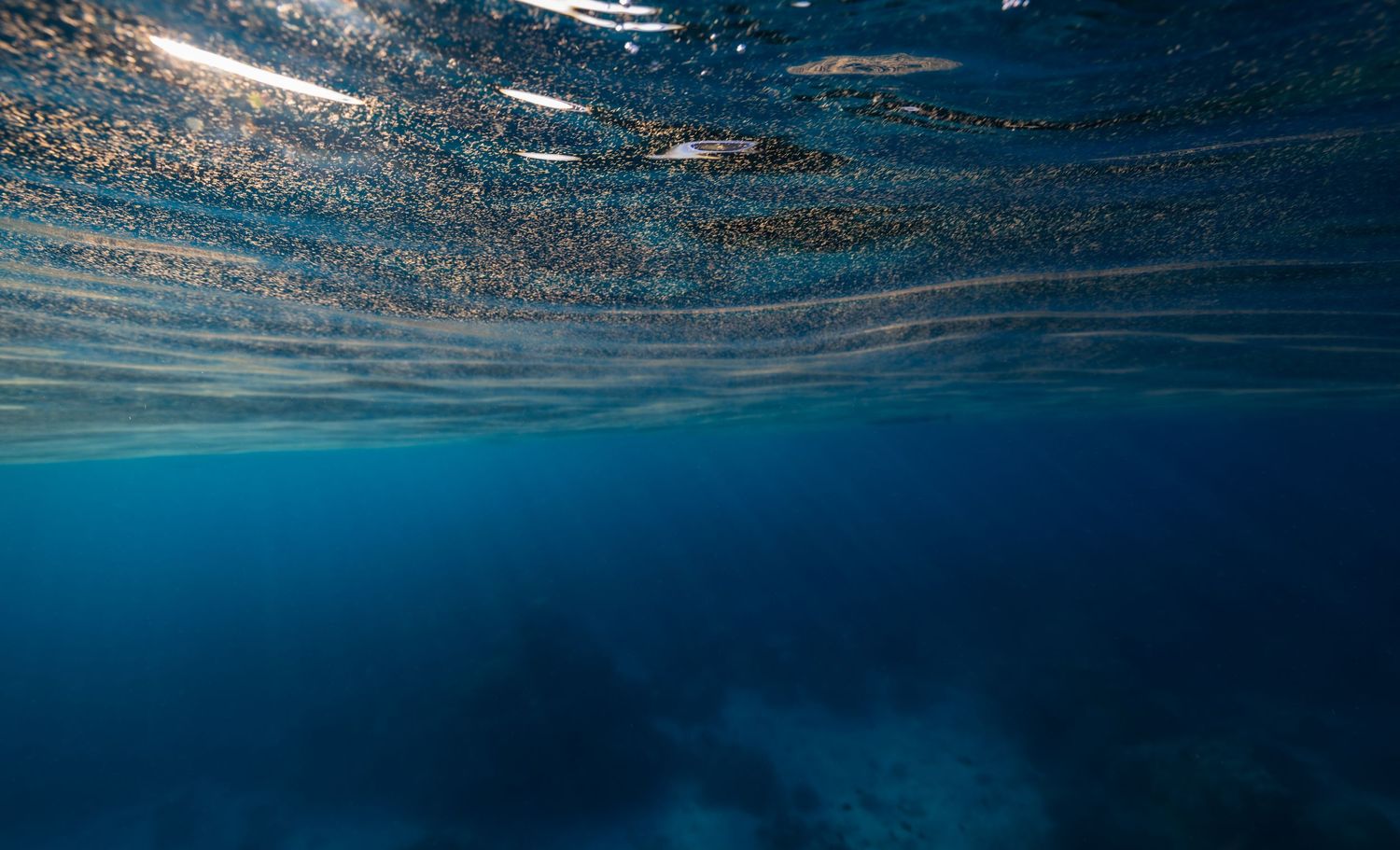 Underwater view of sunlight filtering through blue ocean water creating a sparkling effect.