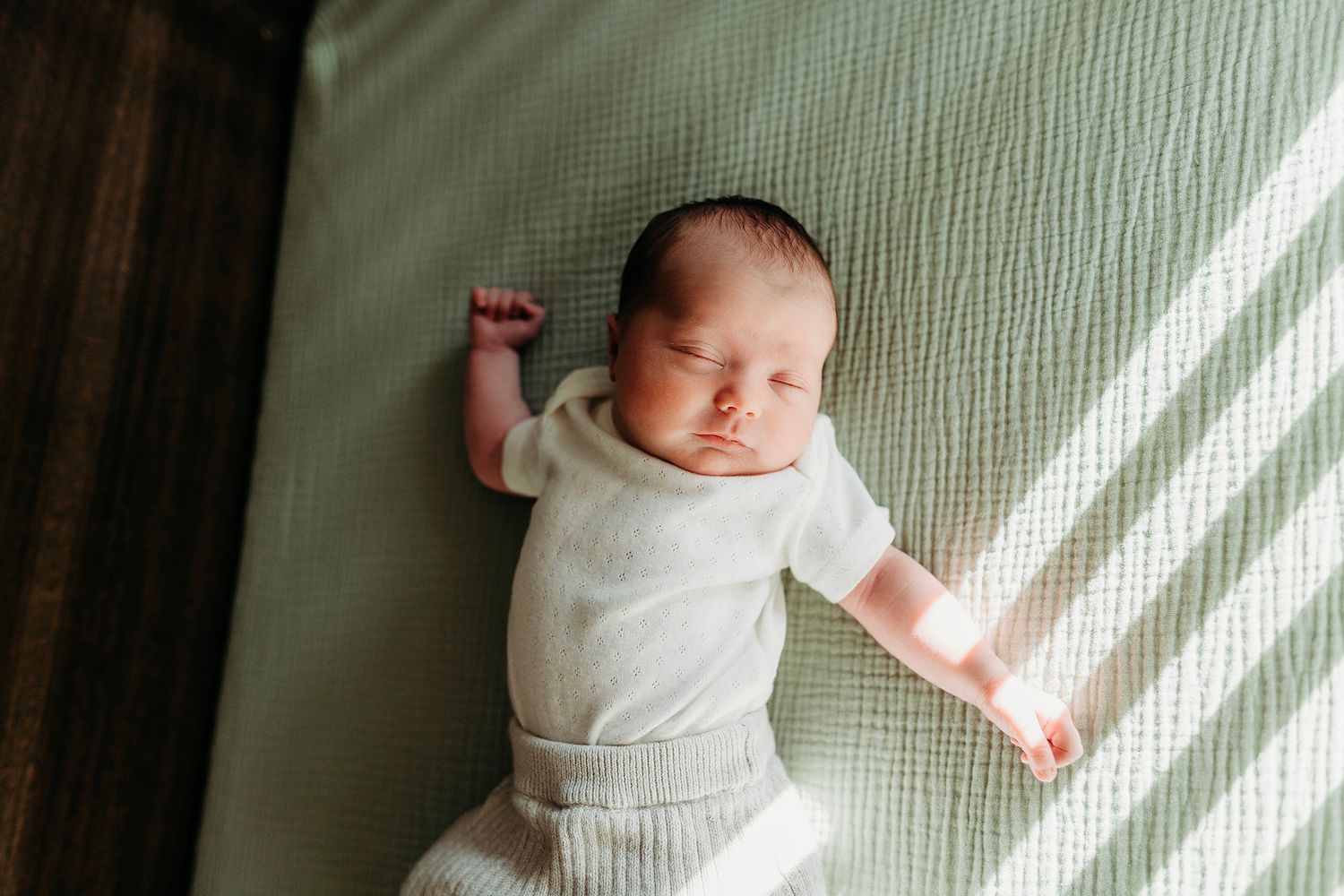 Wixom Michigan Newborn Photographer