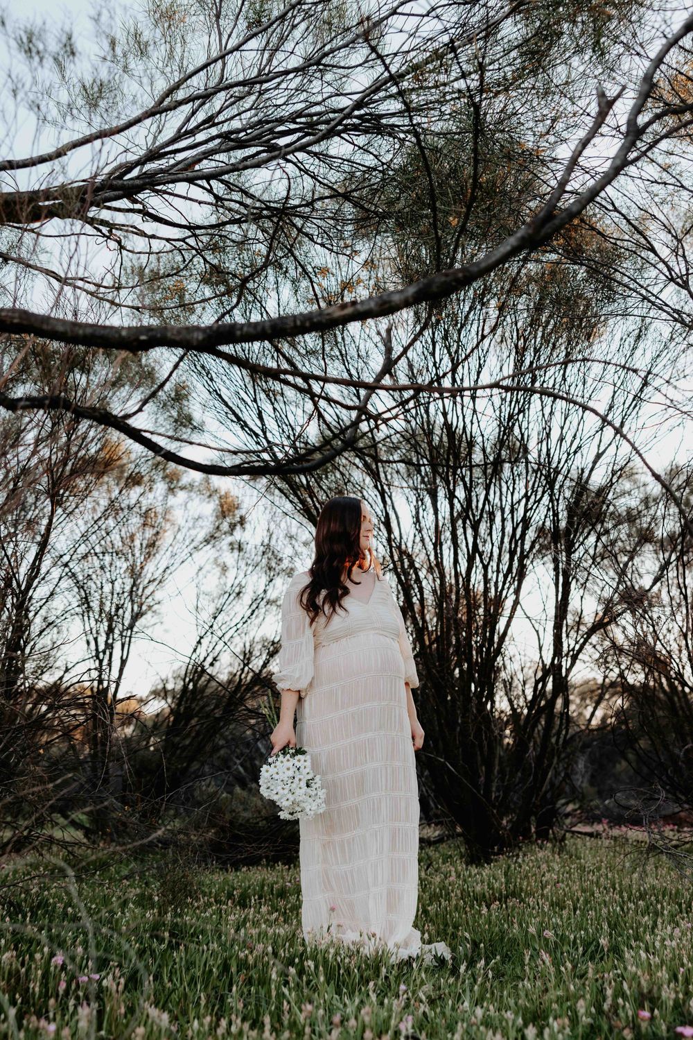 Three linked images show a serene outdoor scene with trees and tall grass at dusk.