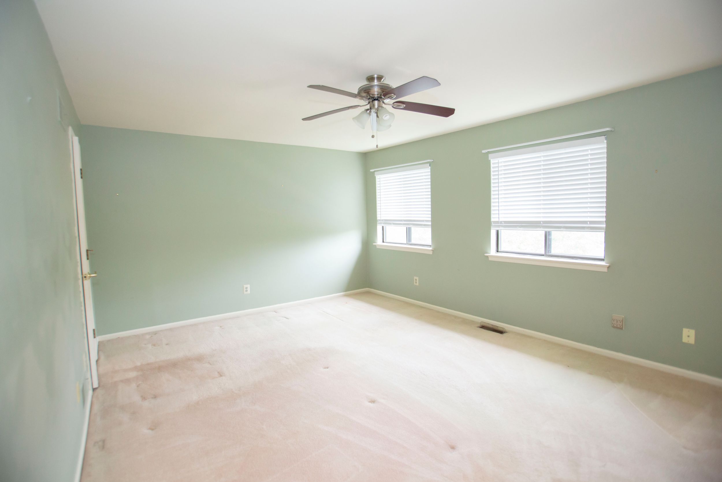 Spacious empty bedroom with sage green walls, carpet, ceiling fan, and two windows.