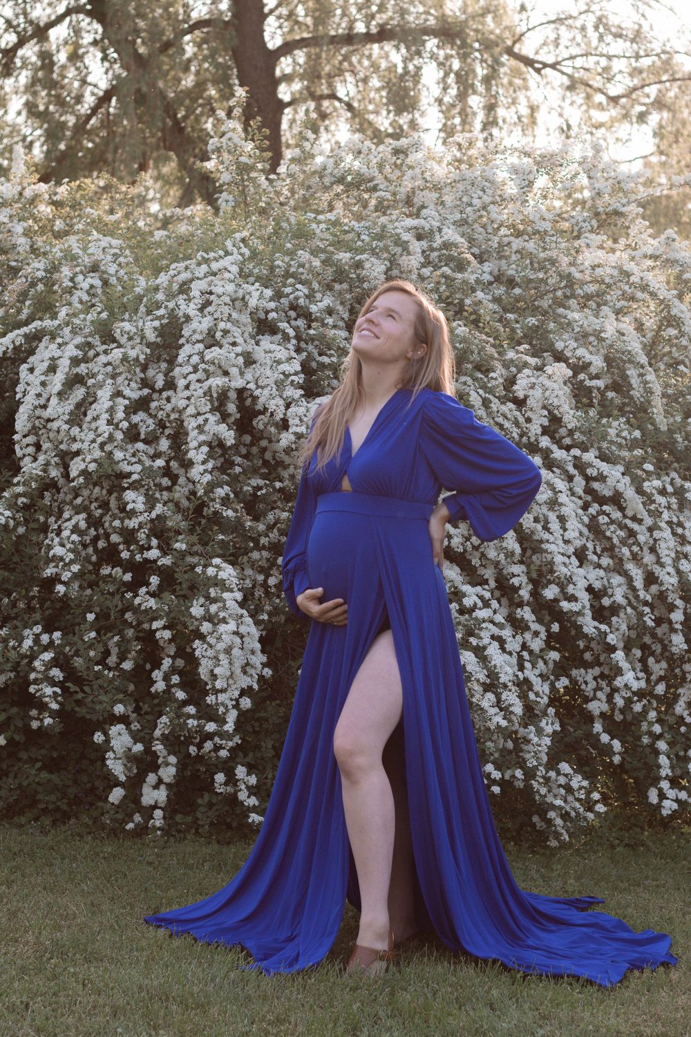 Elegant maternity photo of woman in flowing blue dress against flowering bush background.