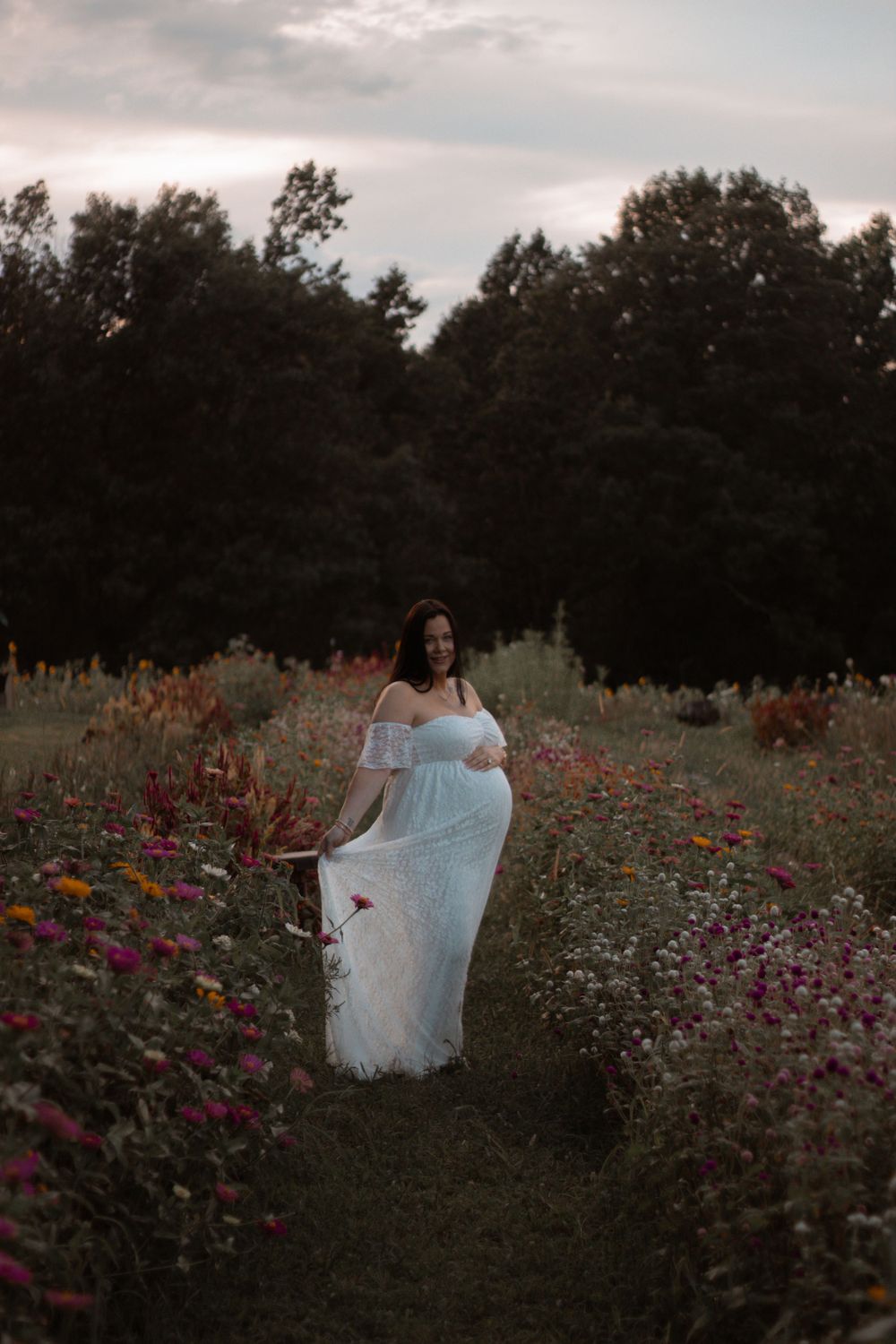 Ethereal scene of flower garden with cosmos and wildflowers at sunset.