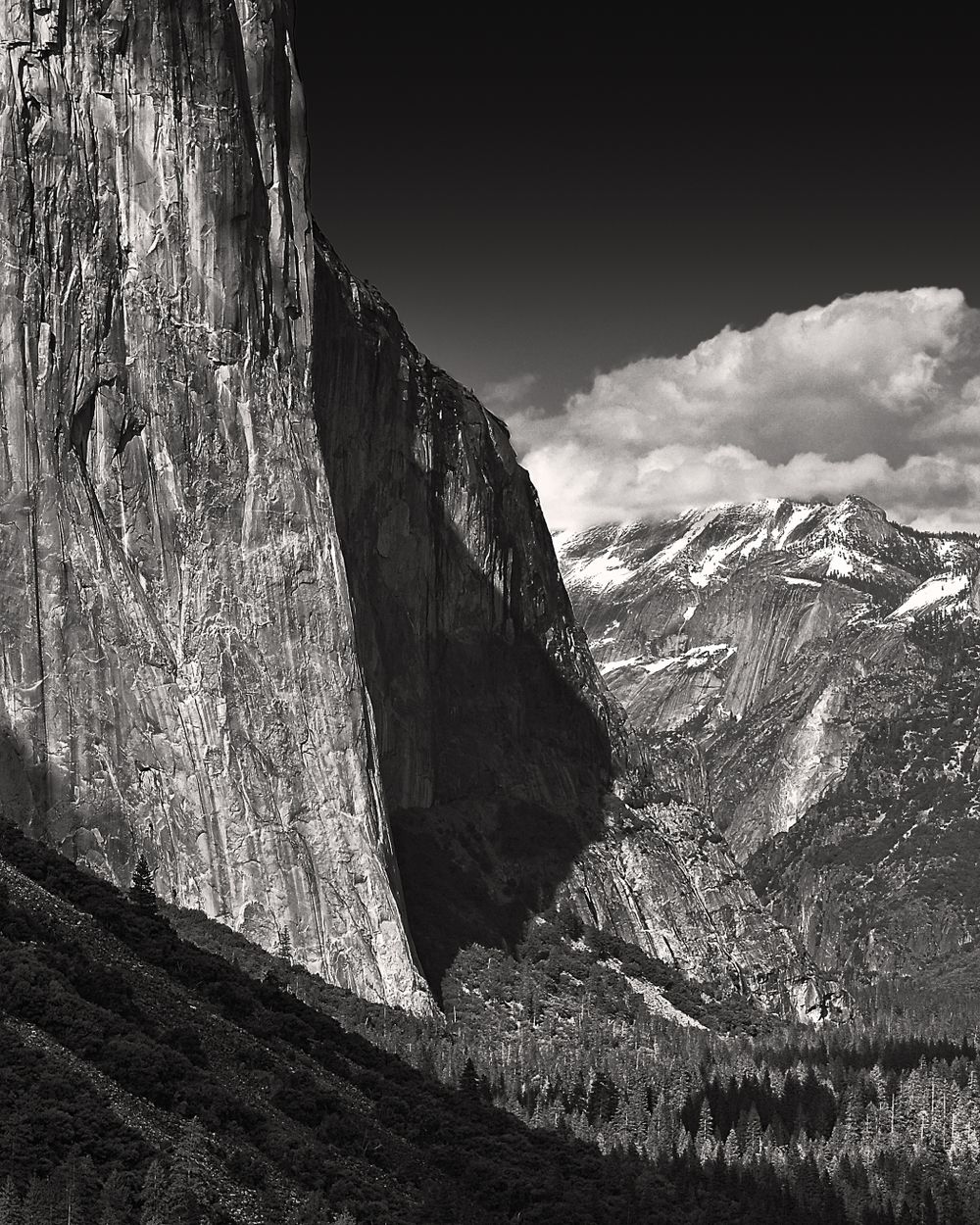 Dramatic black and white view of El Capitan's sheer granite face in Yosemite Valley.