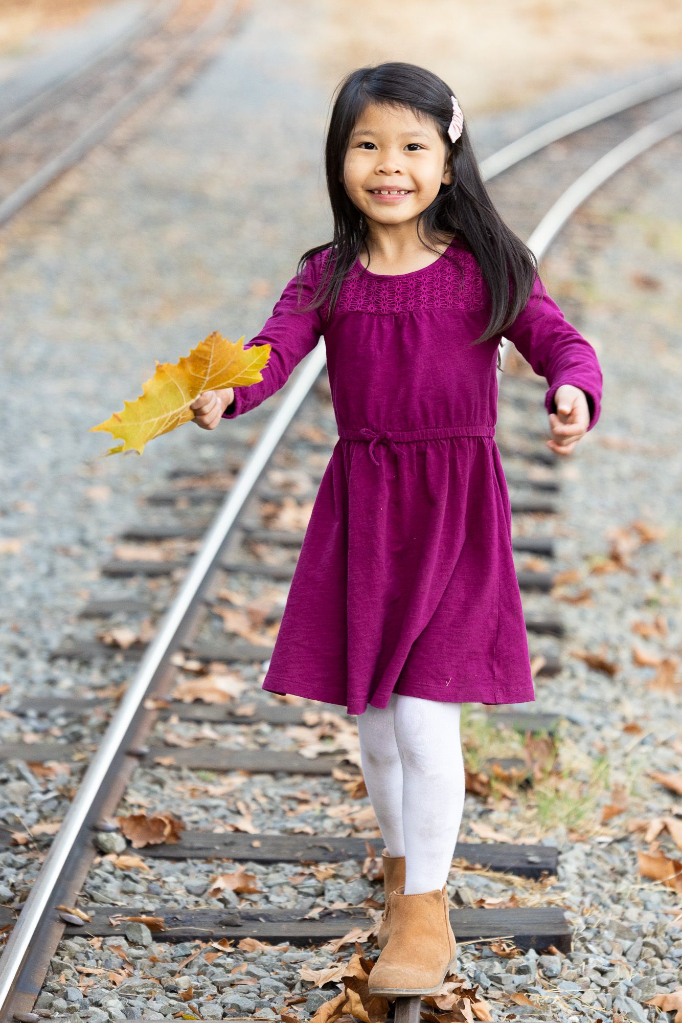 Los Gatos Family Photographer Cindy Tucey photographs a family during golden hour