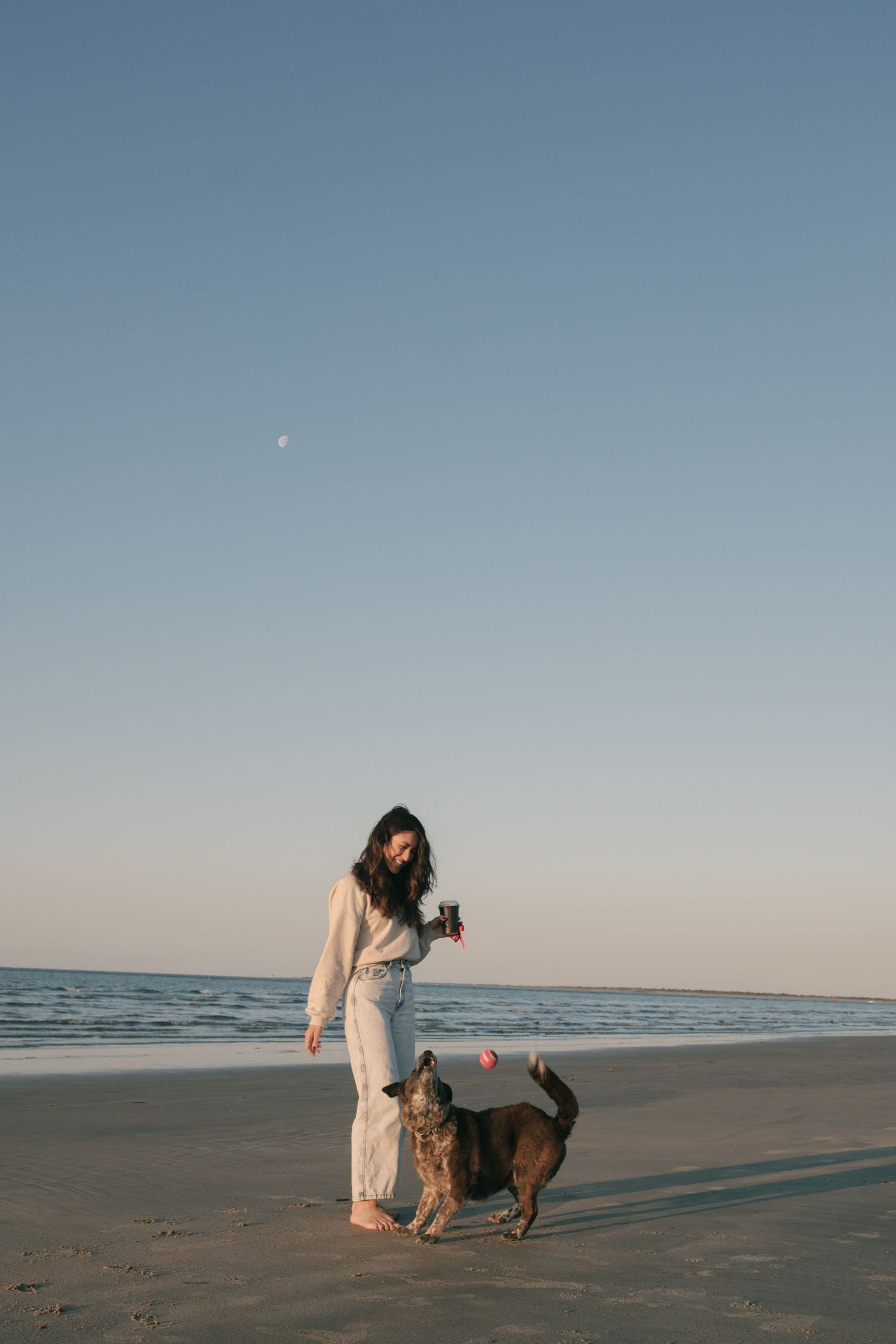 Woman and her dog playing catch on the beach at sunrise, with warm light reflecting off the waves