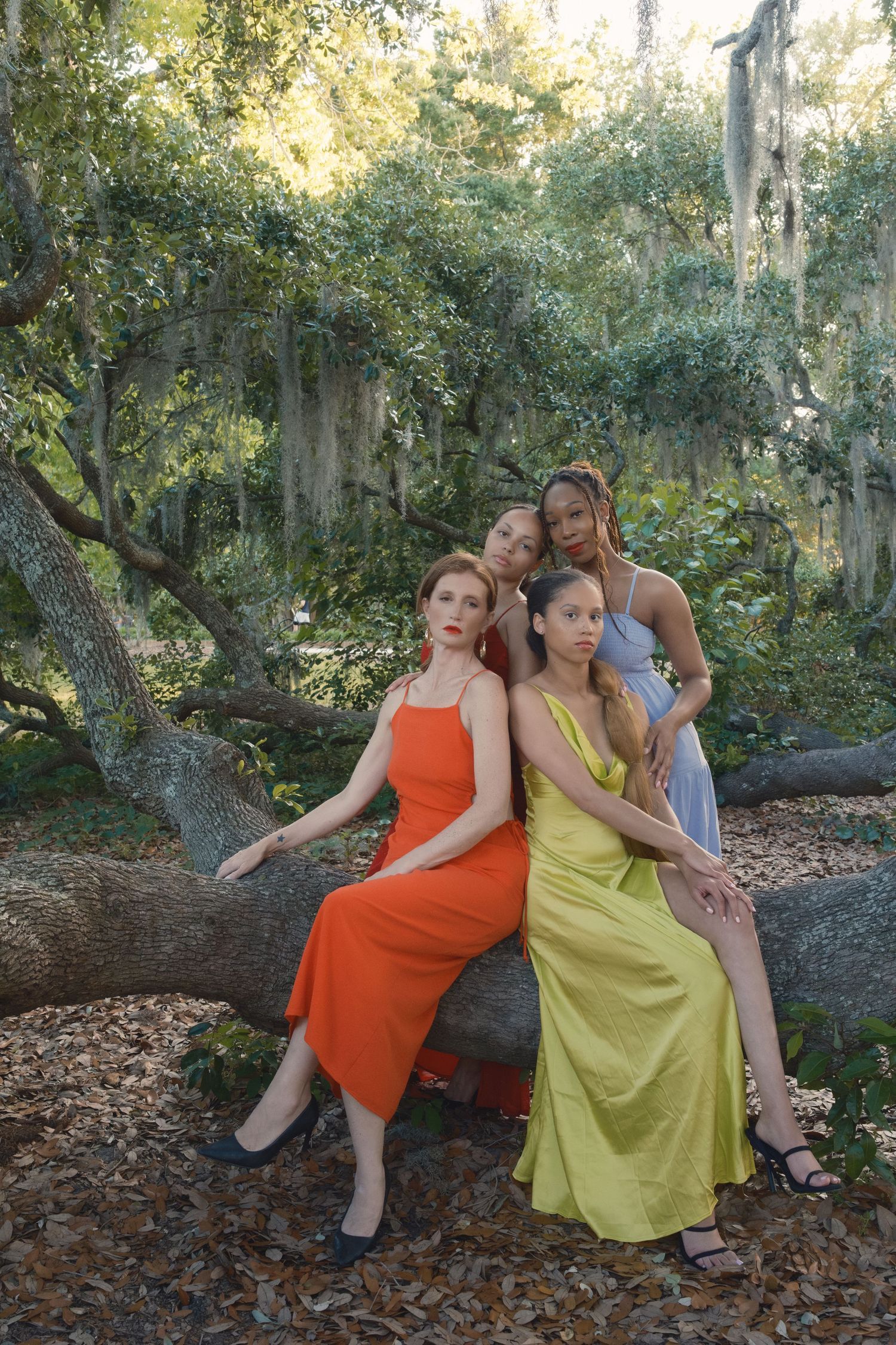 Group of women gathered beneath sprawling Charleston oak trees, surrounded by nature and dappled sunlight