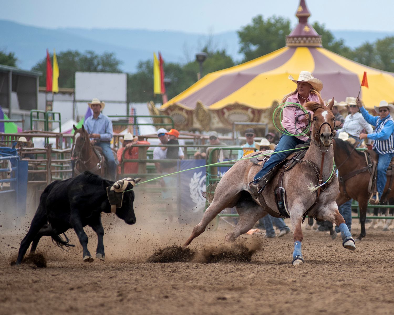 A dramatic rodeo scene shows a team roper in action with a yellow and purple tent in the background.