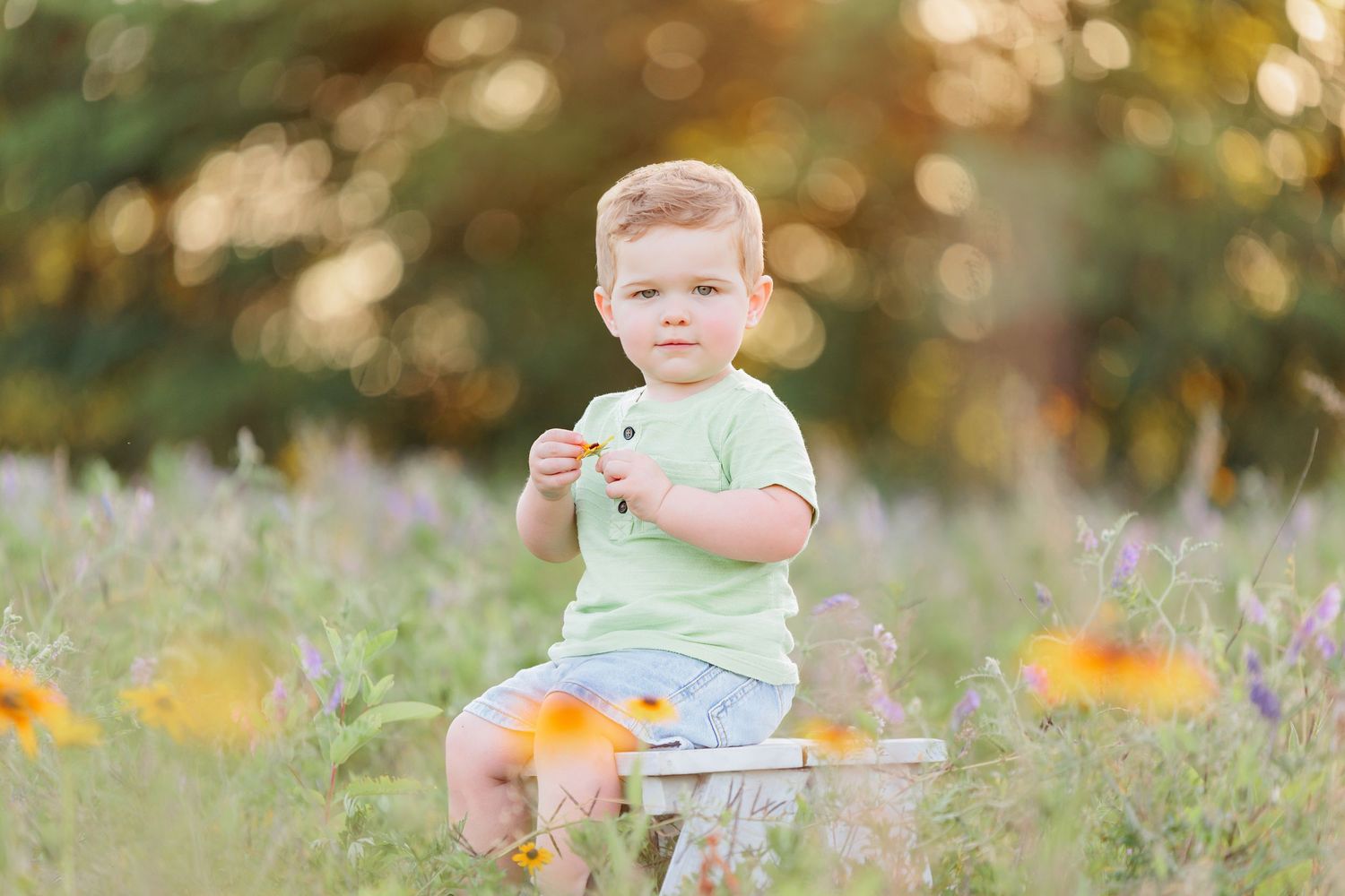 child family photography flower farm session mantua new jersey clayton franklinville millville sunflower zinnia cosmo
