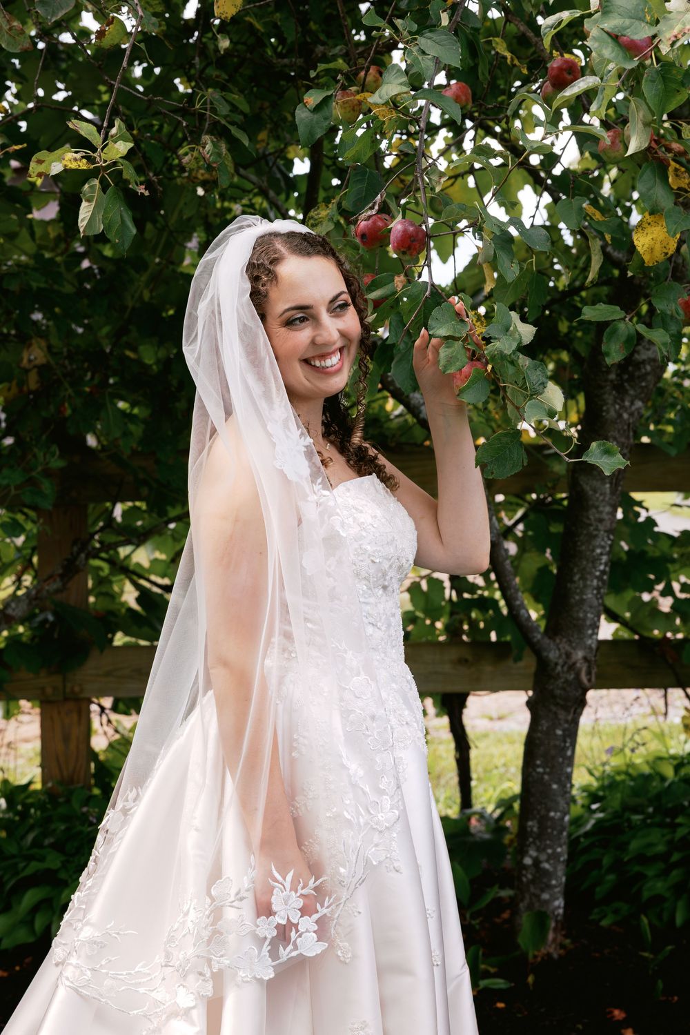A bride in a white lace wedding dress and long veil poses gracefully in an apple orchard on her wedding day.