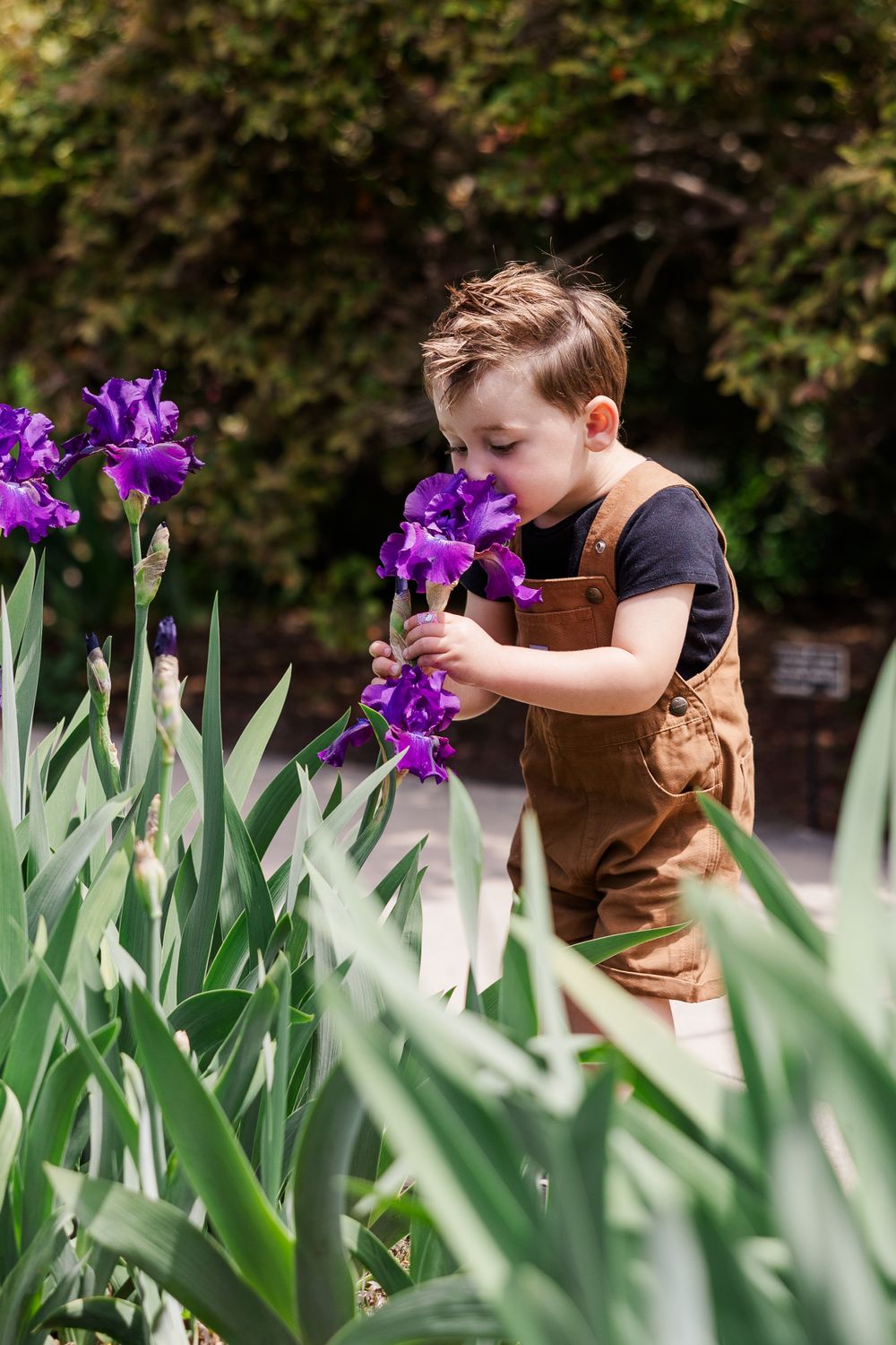 Family Photographer, kid photographer near me, Huntington Library, Simi Valley children's photographer, Photographer good with kids,