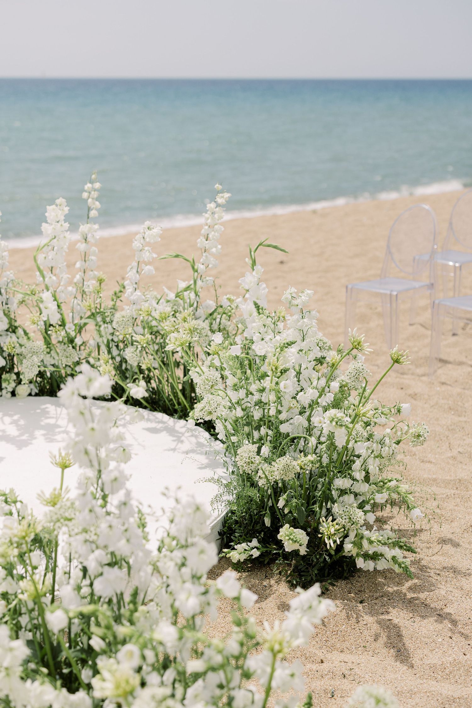 White delicate flowers and greenery bloom along a sandy beach with calm blue ocean waters in the background.