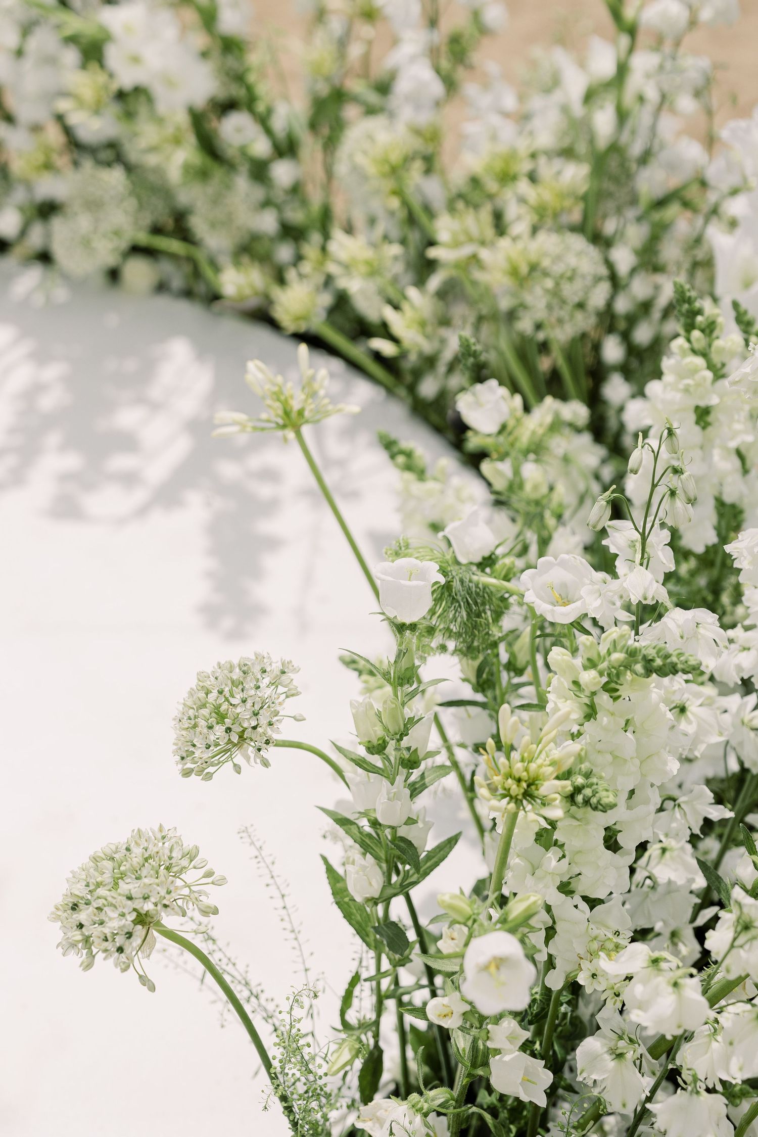 Delicate white wildflowers and baby's breath create an ethereal floral arrangement against a soft white background.