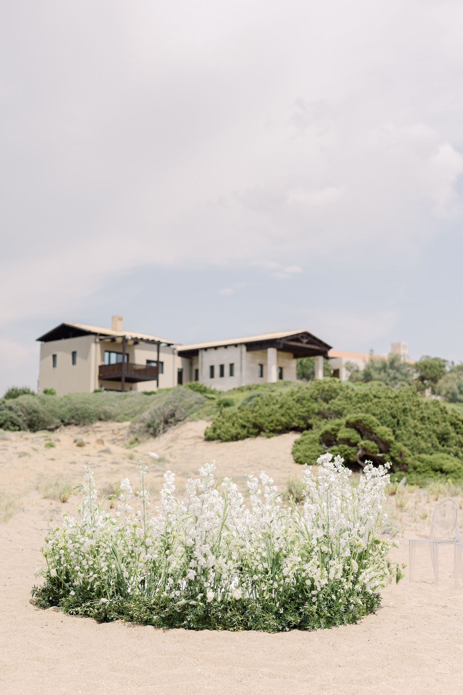 Modern desert home sits atop a hill with white wildflowers blooming in the foreground against a cloudy sky.