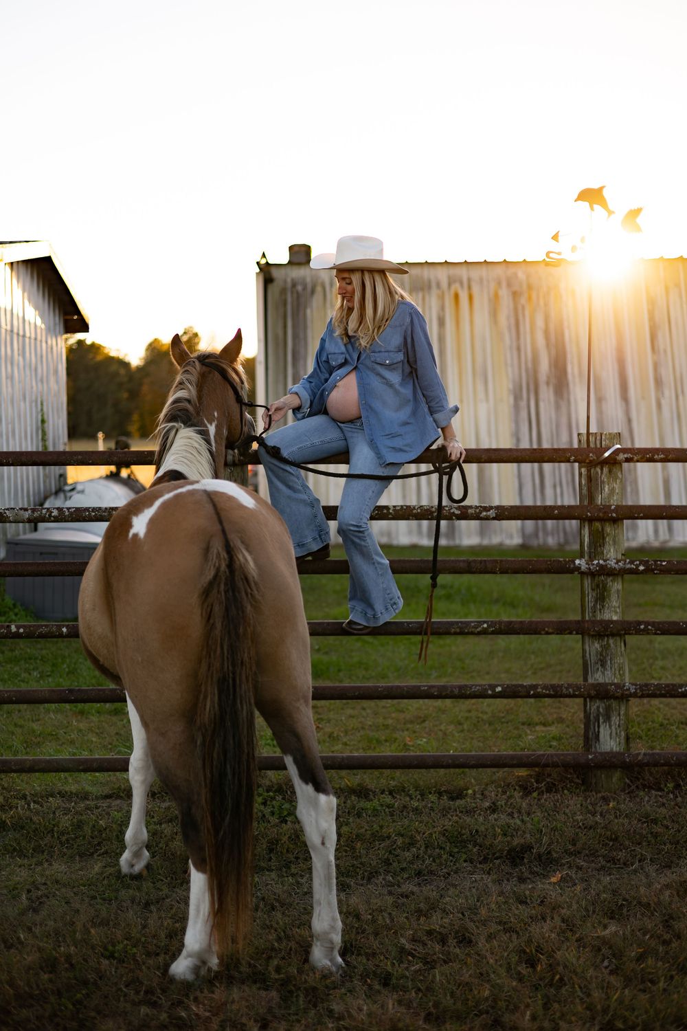 A person wearing blue sits on a brown and white horse in a fenced arena at sunset.