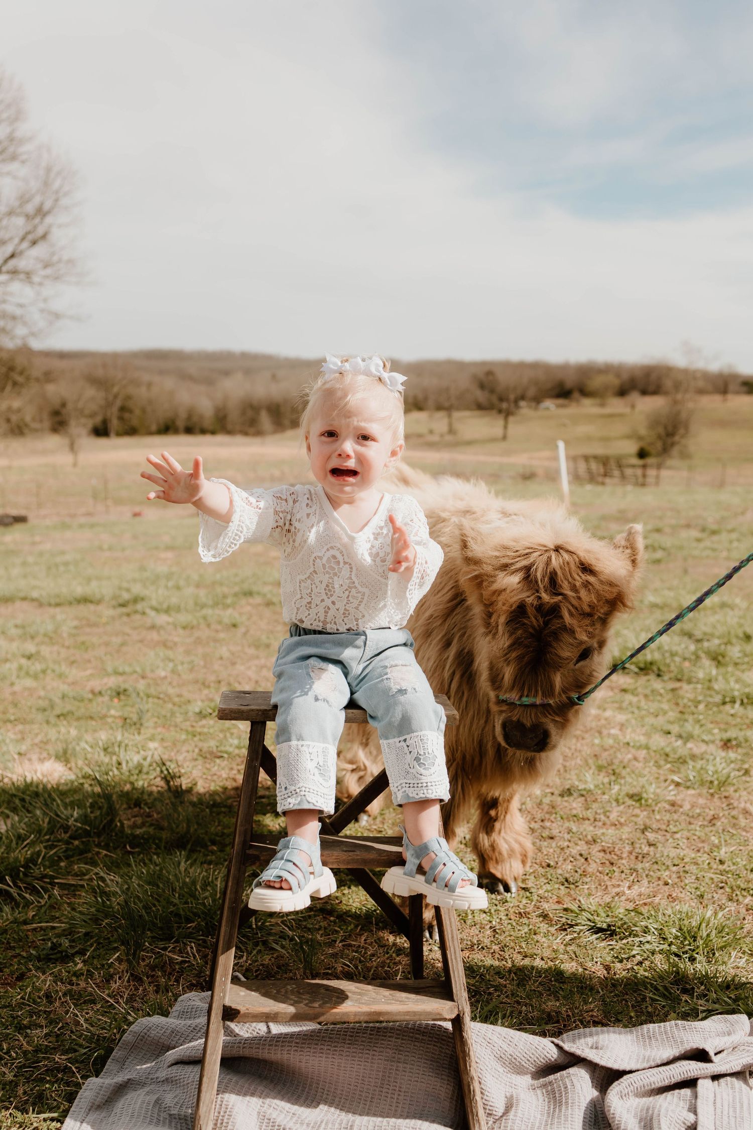 A toddler in a white sweater stands on a wooden ladder with a large brown dog nearby in a rural field.