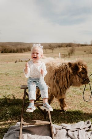 A happy toddler sits atop a wooden ladder with a fluffy brown dog beside them in a sunny meadow.