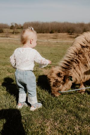 A small child in casual attire watches a large fluffy dog grazing in a sunny field.
