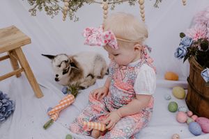 Charming photo with baby goat and colorful spring decorations on white background.