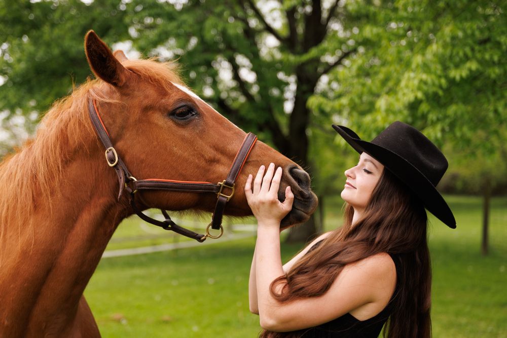 Beautiful chestnut horse and rider sharing an intimate moment in a lush green park setting.
