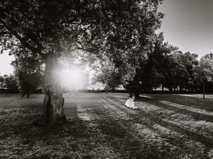 Five black and white photos of a bride and groom in a dreamy, sunlit garden setting create a romantic wedding montage.