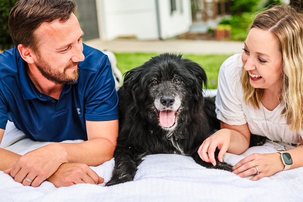 A candid image of a couple laying with their dog between them and smiling/ laughing.