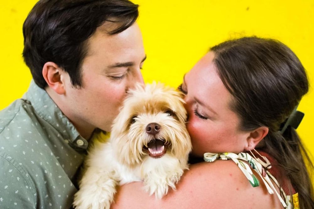 An image of a couple kissing their small dog while they hold him in front of a yellow wall background.
Location: Downtown Knoxville, TN