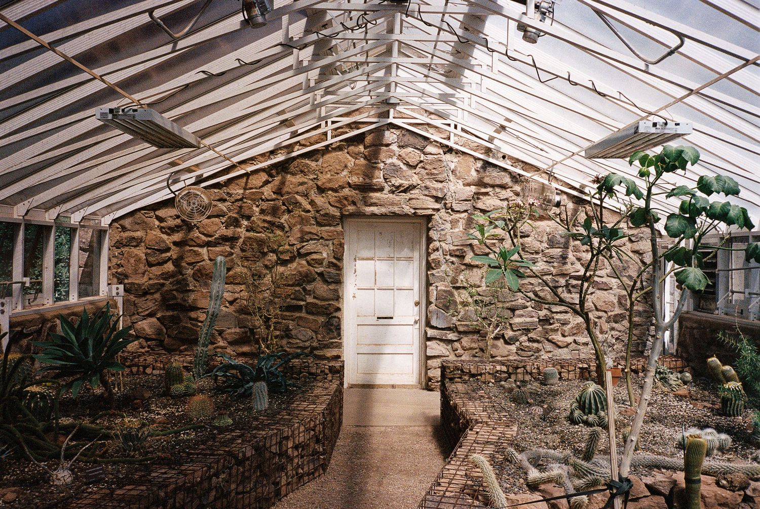 Interior view of a greenhouse or conservatory with stone walls and glass ceiling.