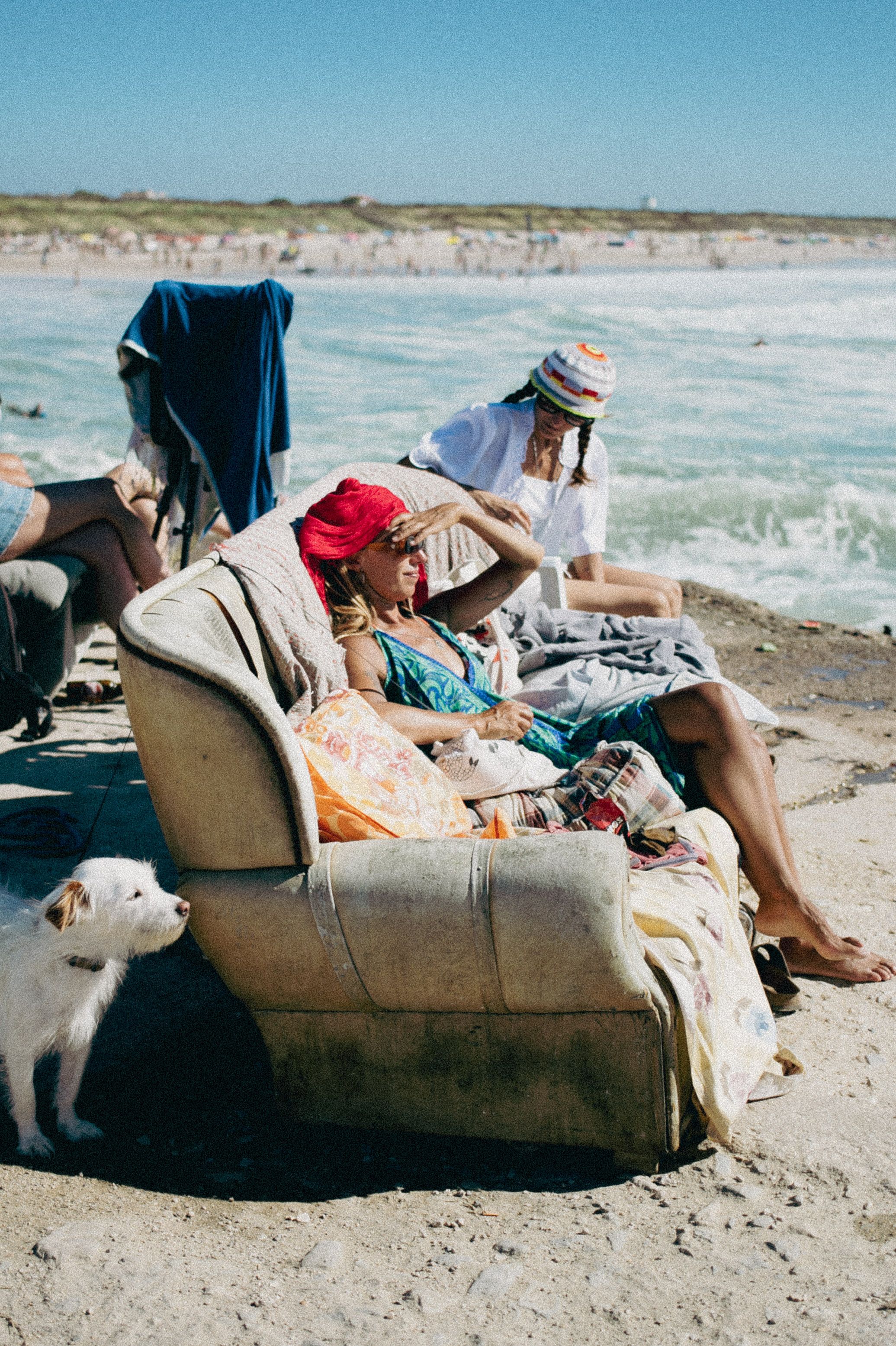 An old couch sits on a beach with a small white dog nearby as waves crash in the background.