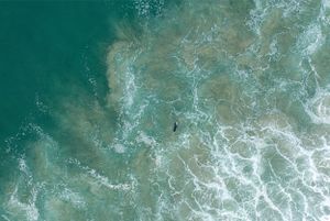 Aerial view of turquoise ocean waves creating intricate white foam patterns.