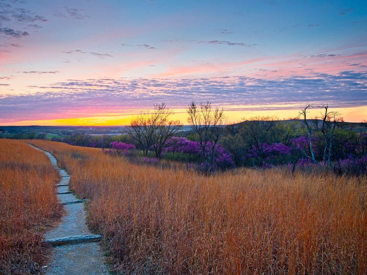 A winding dirt path cuts through golden prairie grass at sunset with purple wildflowers and a vibrant orange sky.