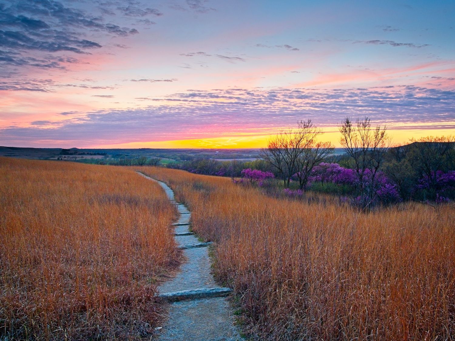 A winding dirt path cuts through golden prairie grass at sunset with vibrant pink and purple clouds in the sky.