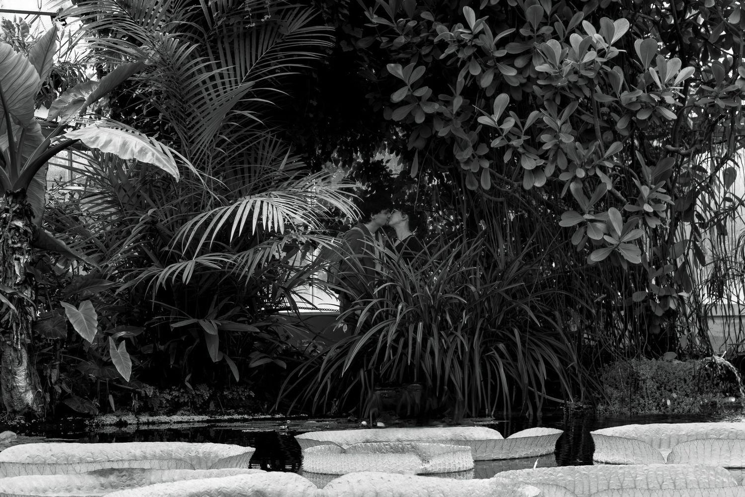 Photographie d'un couple qui s'embrasse dans une jungle tropicale