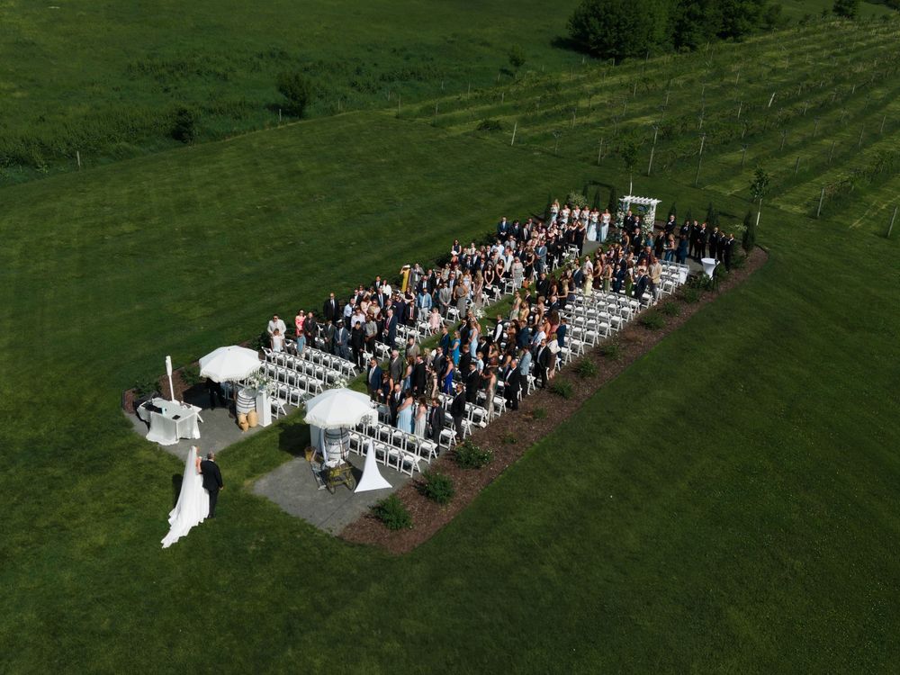 Aerial drone view of an outdoor wedding ceremony with guests seated in rows on a green vineyard lawn.