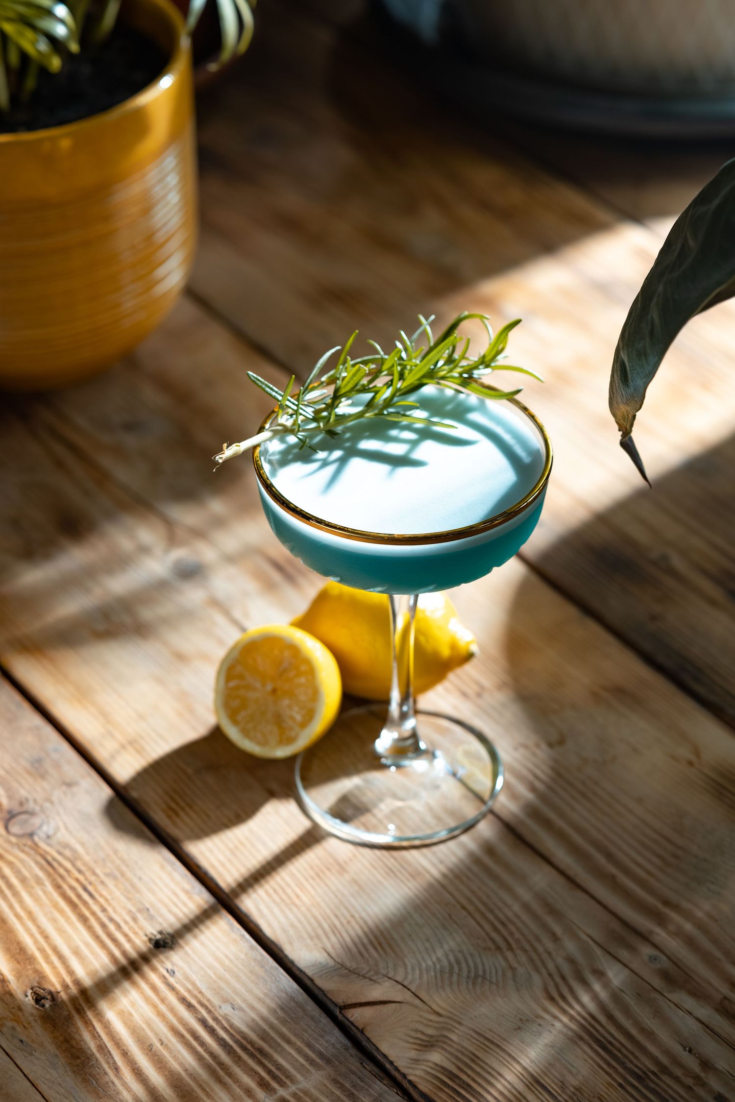 Styled food and drink photography for restaurant menus and marketing - Ryan Stanikk Photography