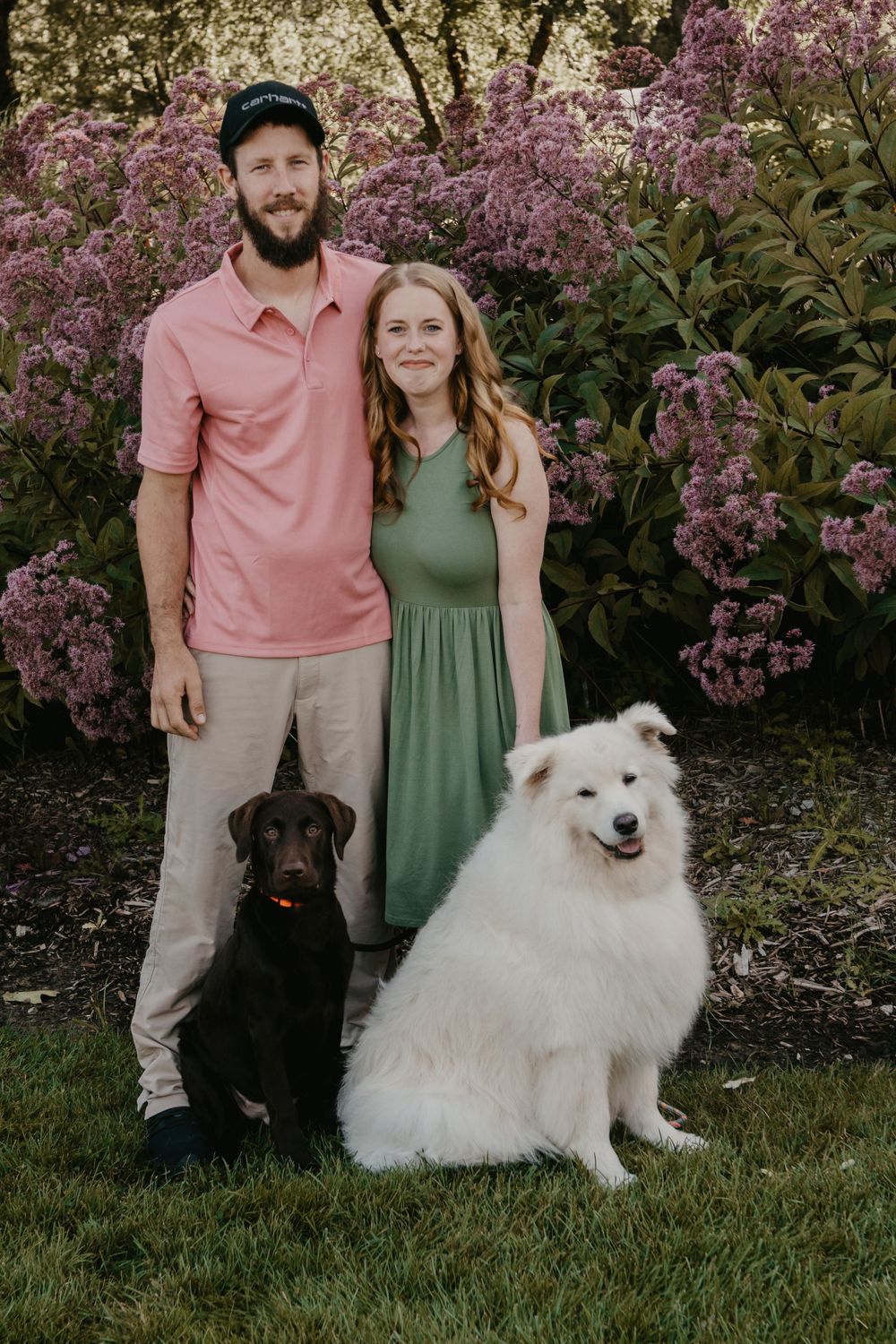 Couple in pink and green outfits poses with black Labrador and white Samoyed before pink blooming shrubs.
