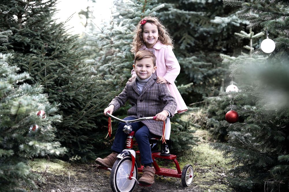 Christmas photoshoot - portrait photography
Christmas 2025 Mini Sessions
Christmas Family Photoshoot.
Christmas shoot near me
Christmas Mini